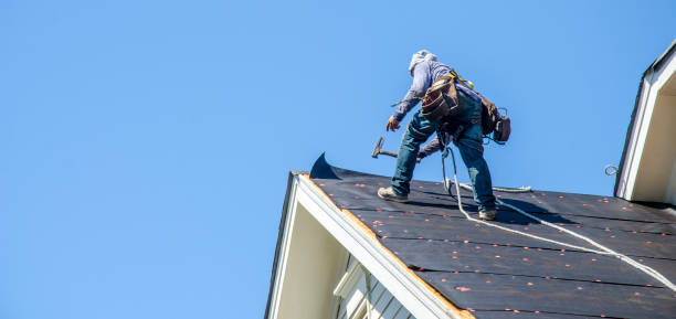 Best Residential Roof Replacement  in Sconsin Dells, WI